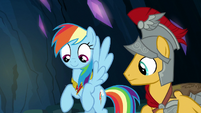 Rainbow Dash wearing the element of loyalty S7E26