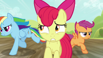 Rainbow and Scootaloo pass Apple Bloom S5E17