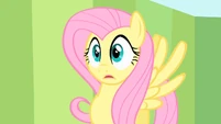 Surprised Fluttershy.