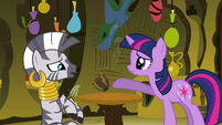 Twilight accidentally spills Zecora's drink S3E05