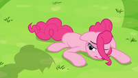 Animation Error Blank Flank Pinkie S3E07