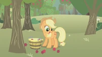 Applejack about to pick up an apple.