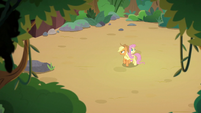 Applejack and Fluttershy in a dirt clearing S8E23