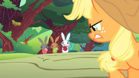 Applejack angry at varmints S1E23