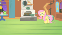 Fluttershy wonder why S1E17