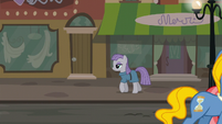 Maud Pie walking through Manehattan S6E3