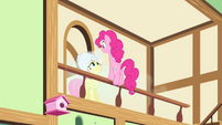 Pinkie Pie 'singing in front of everypony!' S4E14
