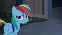 Just a little anxious Rainbow Dash