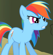 Rainbow Dash Earth pony ID S2E01