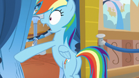 Rainbow Dash shocked by the long line S8E5