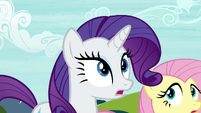 Rarity -are you all seeing what I'm seeing-- S4E26