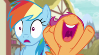 Scootaloo excited for Rainbow Dash S6E7