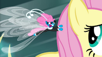 Seabreeze flapping in Fluttershy's mane S4E16