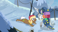Star Swirl the Bearded helping Rare Find S8E16