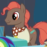 Trendy Coiffure ID S6E13