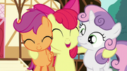 Apple Bloom "we'll be better!" S6E4