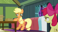 Apple Bloom 'I was gonna ask you the same thing!' S3E08