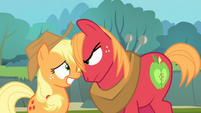 Big McIntosh looks at Applejack's face S4E09