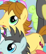 Cherry Gold ID S4E24