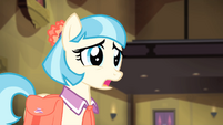 Coco Pommel Gallery 50