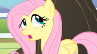 Fluttershy '...it could've been a no' S4E07