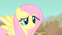 Fluttershy blocked all the holes S1E19