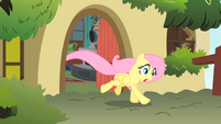 Fluttershy running after Philomena S01E22