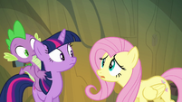 Fluttershy worried that they might lose the real Pinkie S3E03
