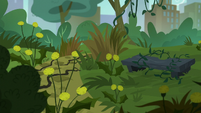 Manehattan park covered in weeds S5E16