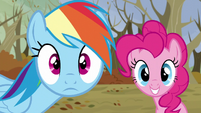 Rainbow and Pinkie sees their friends S5E5