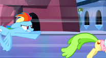 Go Rainbow Dash!