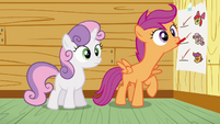 Scootaloo ticking at blank space S3E04