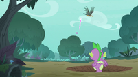 Spike sees Twilight fighting the roc S8E11