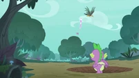 Spike sees Twilight fighting the roc S8E11