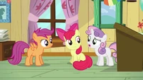 "I'm glad she's happy, but I sure wouldn't want to be up to my flank in mane hair all day."