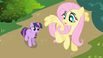 Twilight meets Fluttershy first time S1E1