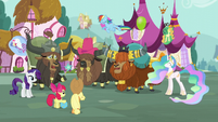 Yaks playing with ponies S5E11