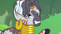 Zecora dizzy and covered in spots S7E20