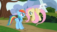 Fluttershy is excited that Rainbow Dash wants a pet.