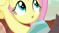 Fluttershy hears Ember's voice S9E9