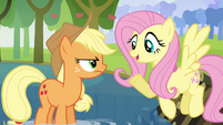 Fluttershy the negotiator S03E10