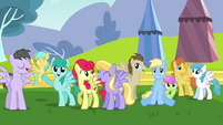 Pegasi marveling at Rainbow Dash S2E22