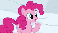 Pinkie Pie "you have an emergency plan" S7E11