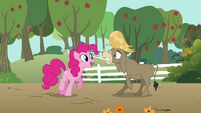 Pinkie Pie tries to apologize to Cranky S02E18