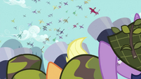 Ponies watching the dragon migration S2E21