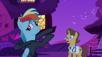 Rainbow Dash confessing five S2E16
