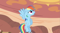 Rainbow Dash not sure S2E20