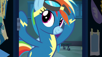 Rainbow Dash putting her goggles on S8E5