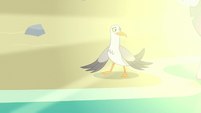 Seagulls sees ponies emerging from the sea S8E6