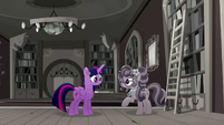 Twilight and Petunia in the library MLPRR